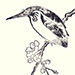 Multiple Artists Gallery